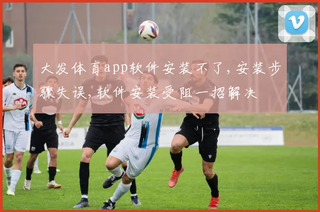 大发体育app软件安装不了,安装步骤失误,软件安装受阻一招解决