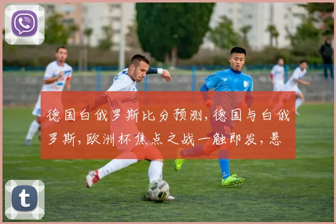 德国白俄罗斯比分预测,德国与白俄罗斯,欧洲杯焦点之战一触即发,悬念重重